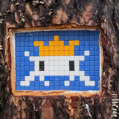 Space Invader LAP_30 — LAP