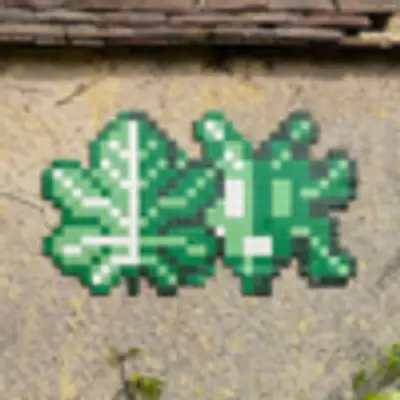 Space Invader FTBL_33 — Fontainebleau